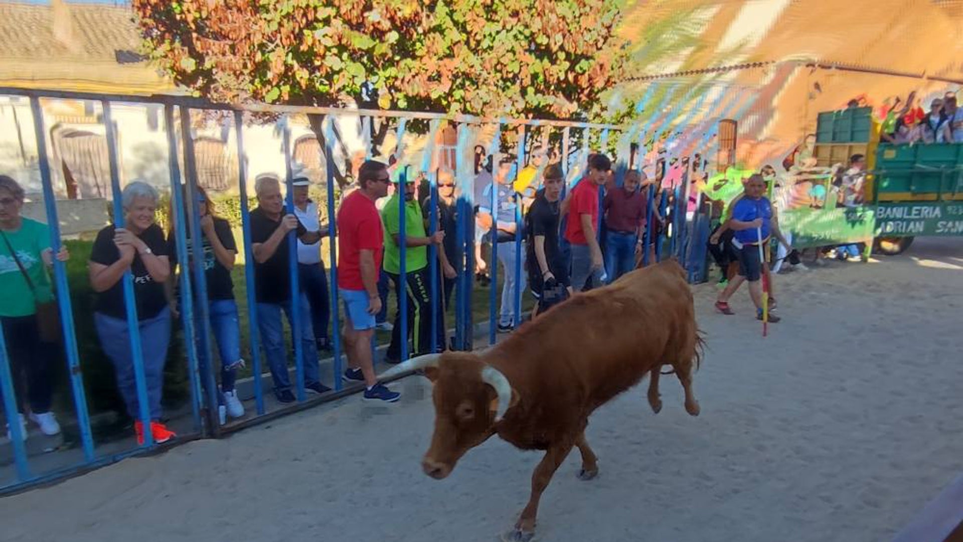 Diversi N Asegurada En Las Fiestas De Tarazona La Gaceta De Salamanca